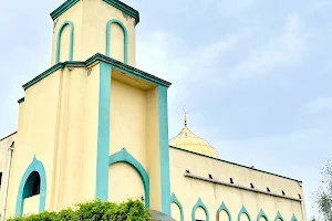 Kharkiv Cathedral Mosque مسجد image