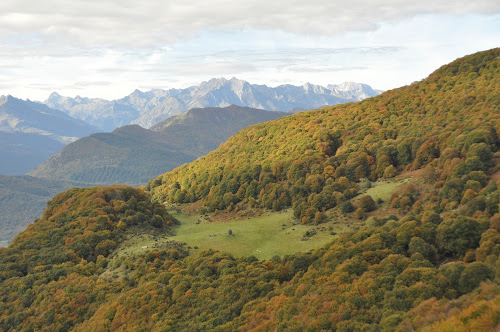Réserve Naturelle Régionale du massif du Pibeste-Aoulhet à Agos-Vidalos