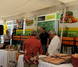 Don Bosco Plaza photo