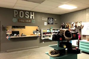 Posh 4 Paws - Boarding, Grooming, Daycare, & Boutique image