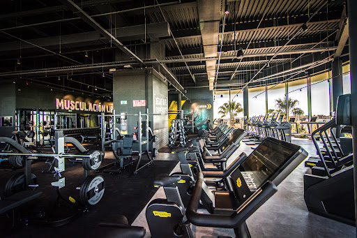 Fitness Park Torrejón-Oasiz en Torrejón de Ardoz, Madrid