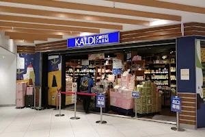 Kaldi coffee farm Kawasaki Azalea shop image