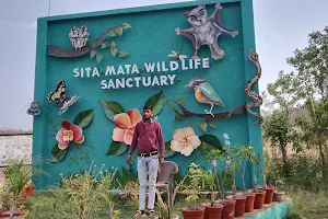 Sitamata Wildlife Senctuary, Damdama image