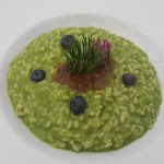 Photo n°2 de l'avis de giovanni.i fait le 01/12/2022 à 09:33 sur le  Oberegger Alm à Sorafurcia