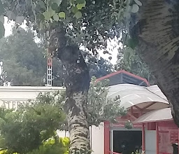 Maternity Hospital Tláhuac photo