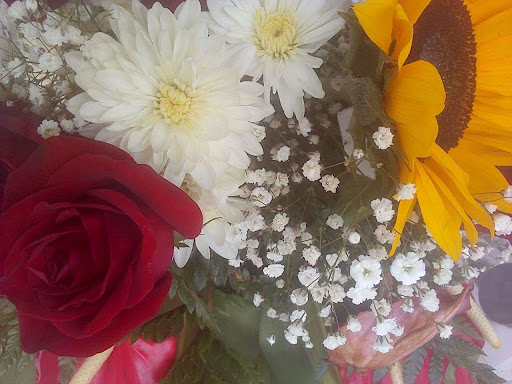 Florist «Denver Bloom Fresh Florist», reviews and photos, 4590 Leetsdale Dr, Denver, CO 80246, USA