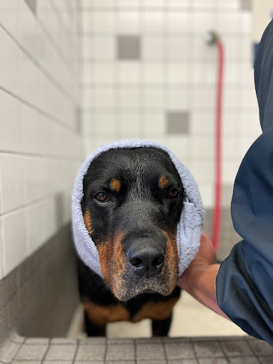 Pet Supply Store «Pet Food Express», reviews and photos, 3910 Middlefield Rd, Palo Alto, CA 94303, USA