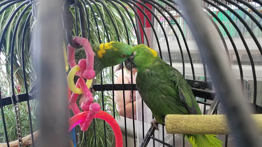 Pet Store «Pettin Place», reviews and photos, 1121 S Wells Ave, Reno, NV 89502, USA