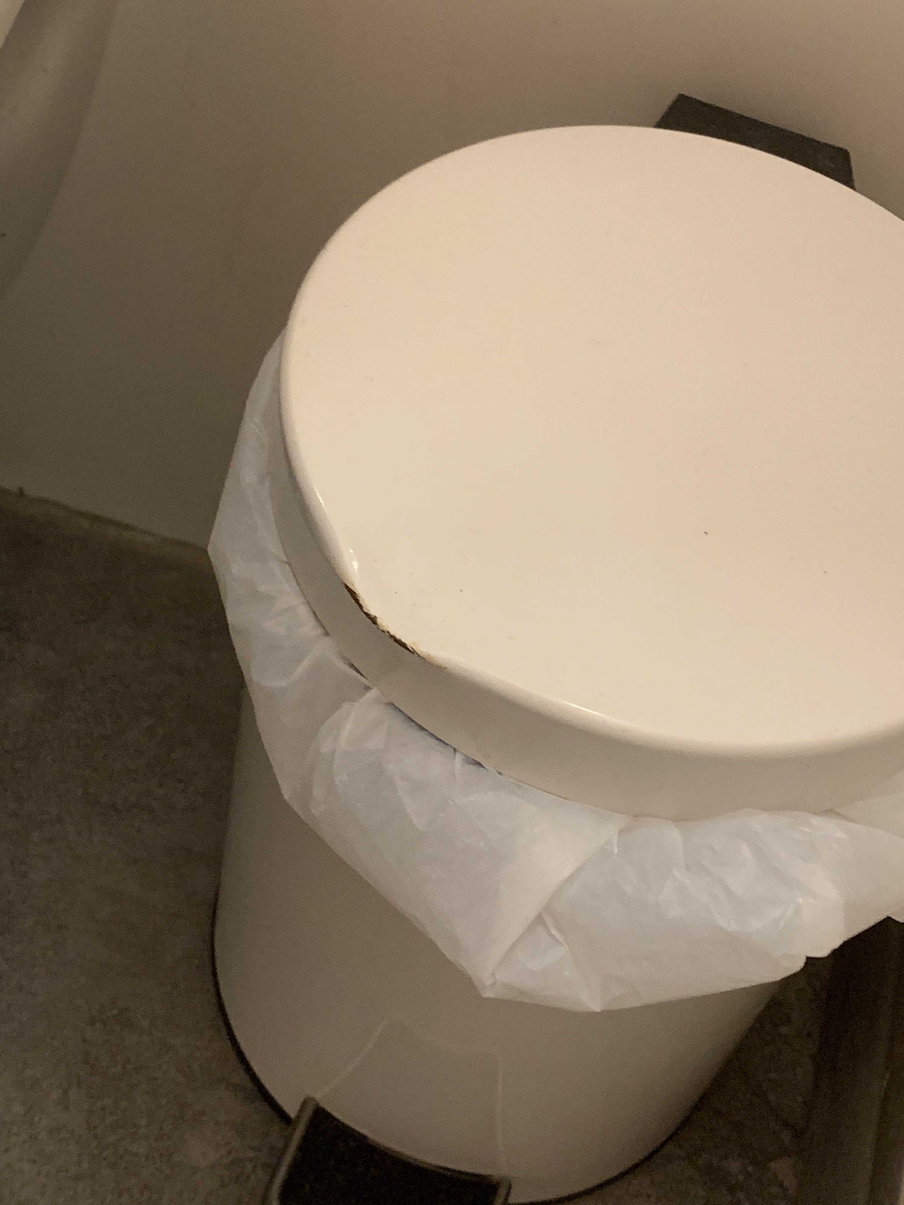 Photo n° 7 de l'avis de Thierry.. fait le 19/09/2019 à 21:55