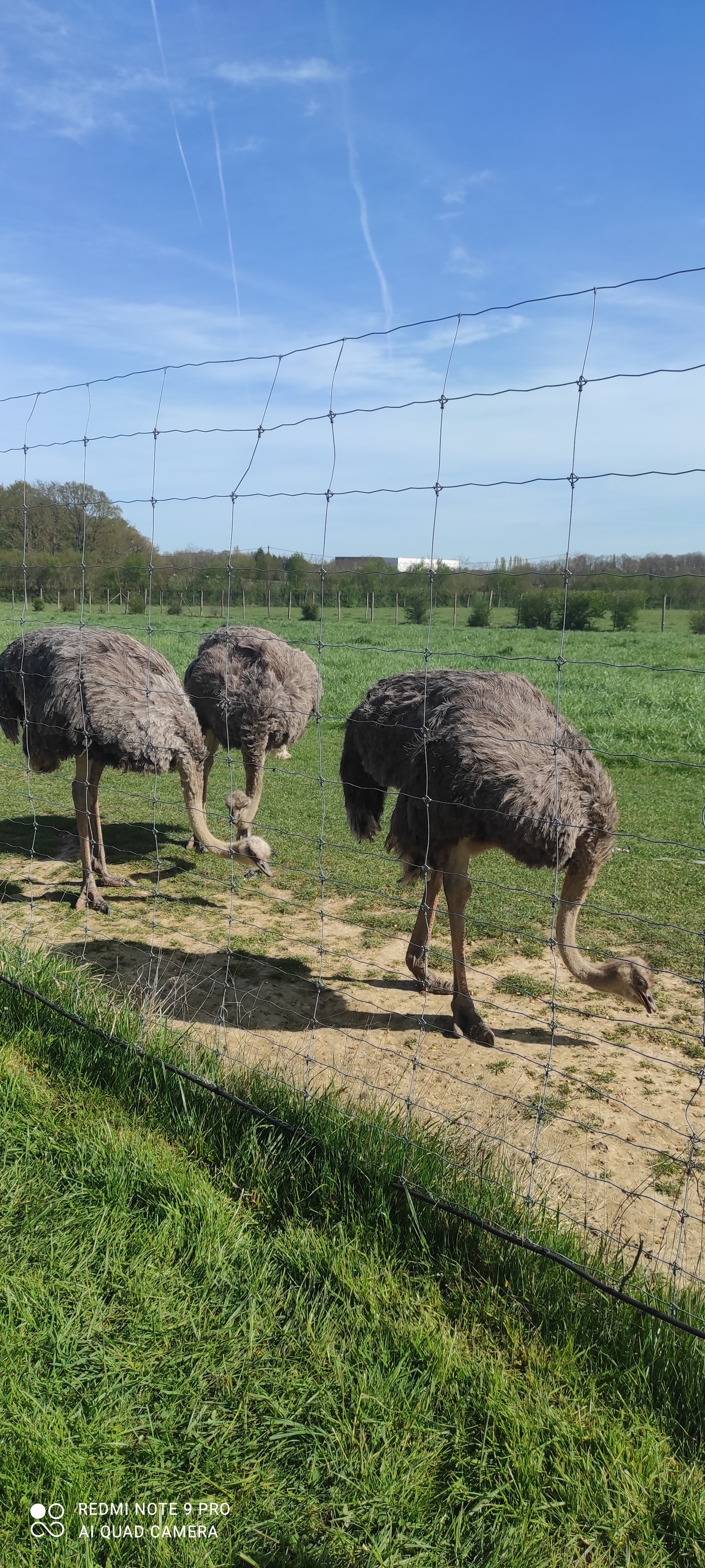 Photo n° 5 de l'avis de Magali.e fait le 13/04/2022 à 19:25