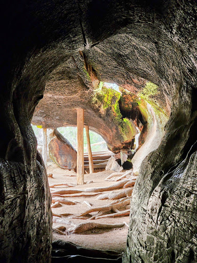 National Park «Kings Canyon National Park», reviews and photos