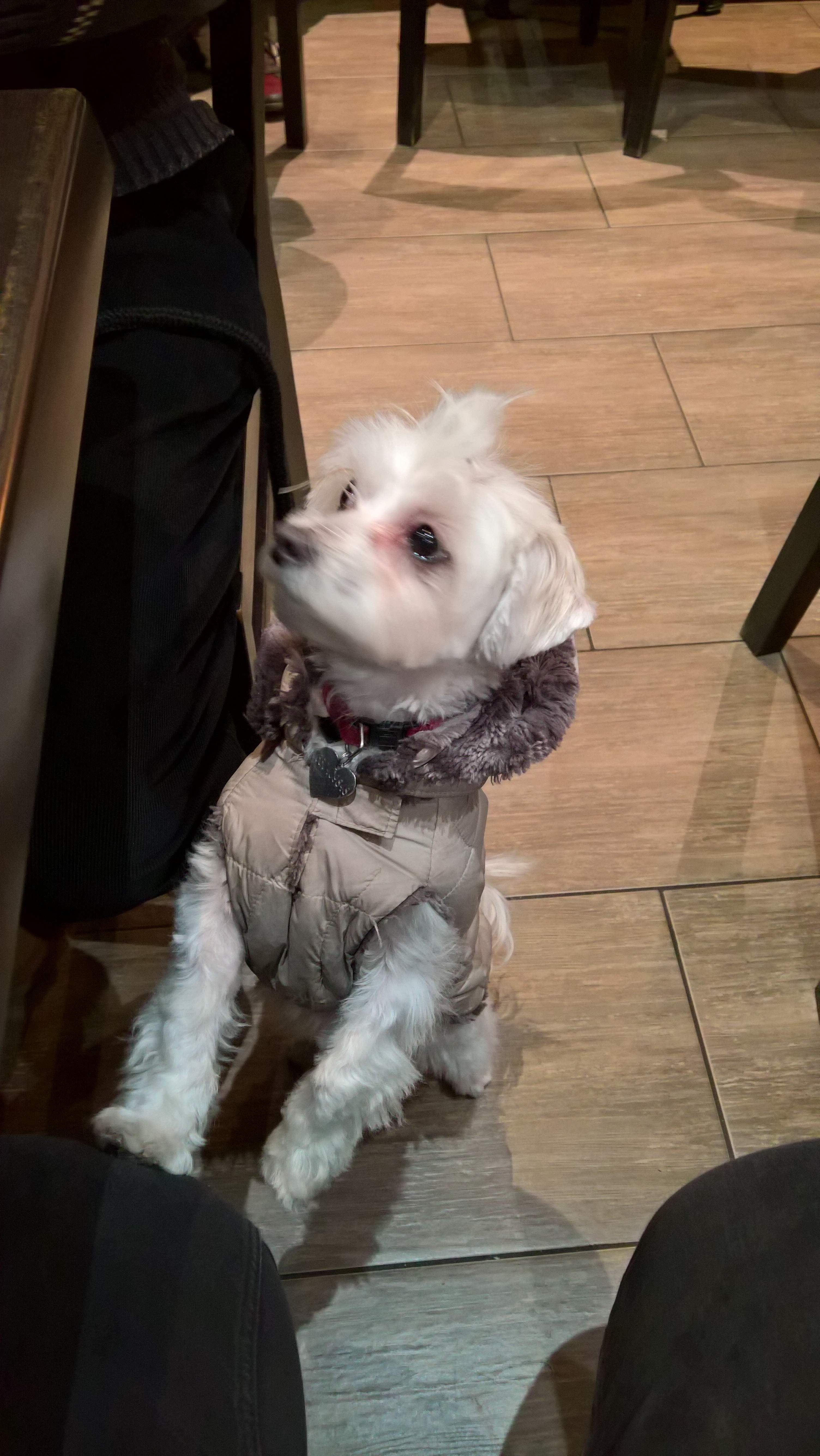 Photo n° 4 de l'avis de Irene.o fait le 05/12/2018 à 18:32