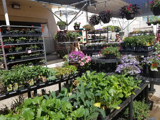 Hardware Store «Cherry Creek Ace Hardware», reviews and photos, 1417 S Holly St, Denver, CO 80222, USA