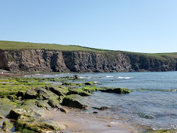 Foto di Rocky Bay Beach ubicato in zona naturale