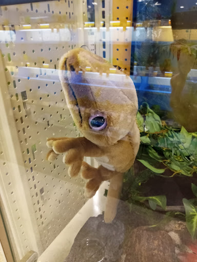 Pet Supply Store «PetSmart», reviews and photos, 5873 Spout Springs Rd, Flowery Branch, GA 30542, USA