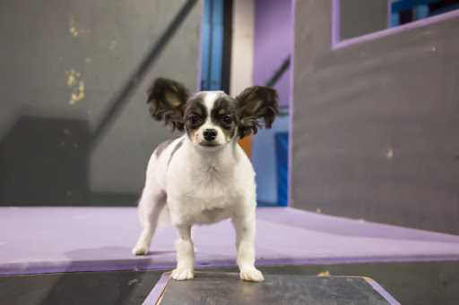 Gym «Alternate Routes», reviews and photos, 10939 Philadelphia Rd, White Marsh, MD 21162, USA