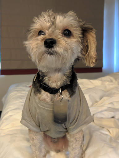 Pet Supply Store «PetSmart», reviews and photos, 6675 S Virginia St, Reno, NV 89511, USA