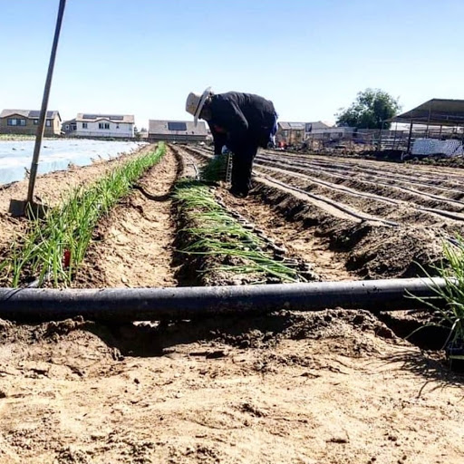 Agricultural service Norwalk