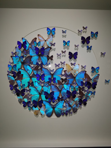 Mejor Notaría The Notary Bug, Mobile Notary Services