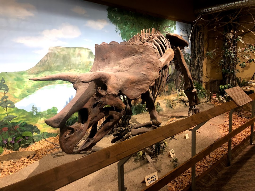 Glendive Dinosaur and Fossil Museum