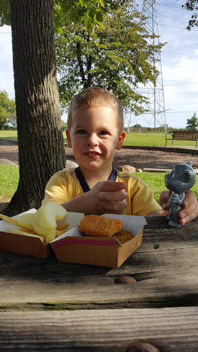 Park «Lions Park», reviews and photos, 8875 McEvilly Rd, Minooka, IL 60447, USA