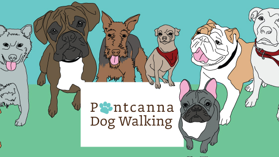Reviews of Pontcanna Dog Walking in Cardiff - Dog trainer