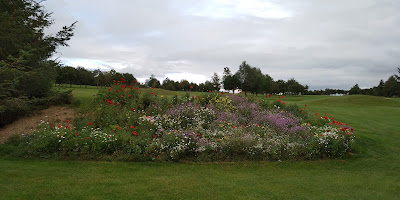 Kinsale Golf Club