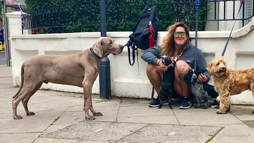 Happy Tails (paseadores de perros)