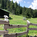 Photo n°2 de l'avis de Corneliu.i fait le 26/07/2020 à 18:45 sur le  Agriturismo Al Tabià à Auronzo di Cadore