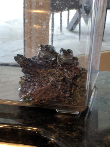 Starbucks image