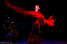 Flamenco à Paris