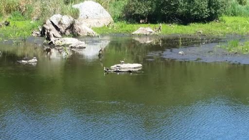Nature Preserve «Norman Bird Sanctuary», reviews and photos, 583 3rd Beach Rd, Middletown, RI 02842, USA