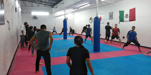 Escuela de taekwondo Tlaquepaque