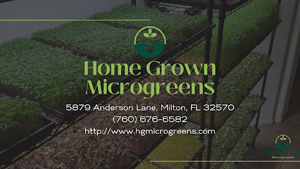 Home Grown Microgreens