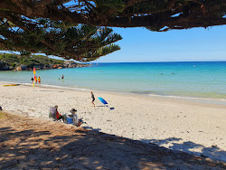 Photo de Boat Harbour Beach zone sauvage