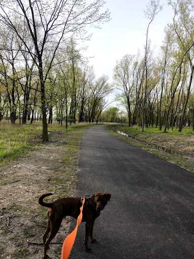 Nature Preserve «Van Vlissingen Prairie», reviews and photos, 1735 East 96th Street, Chicago, IL 60617, USA