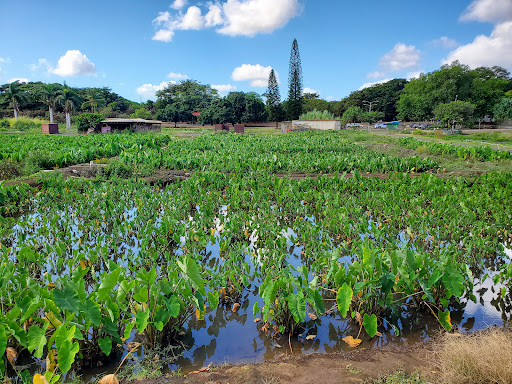 Waipahu-photo