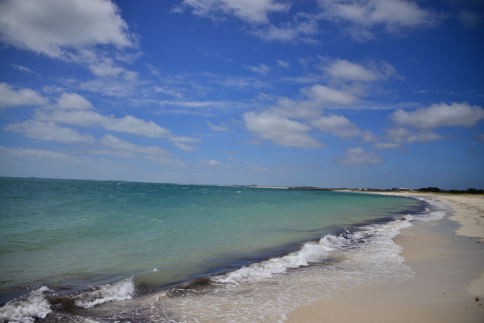 Jurien Bay Jetty photo #8