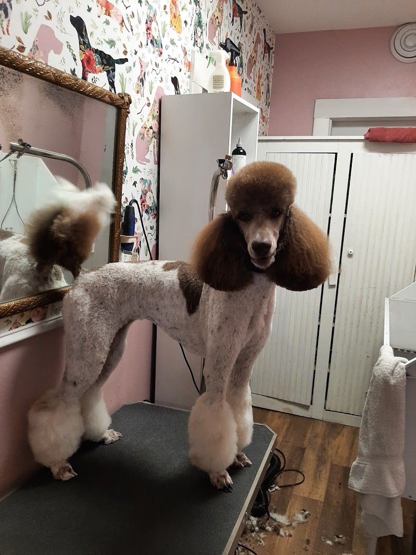 Lynelle’s Pet Salon