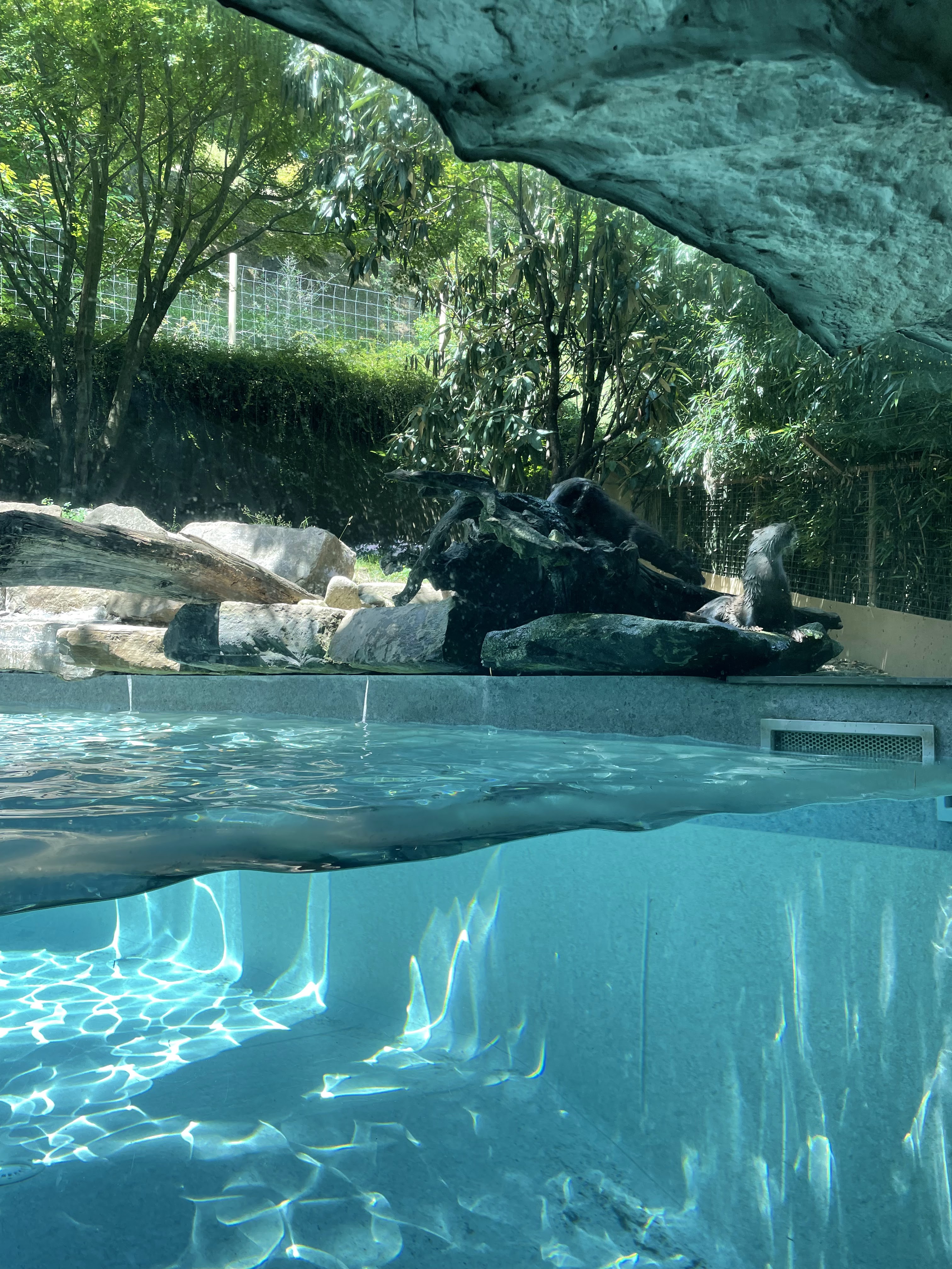 Photo n° 43 de l'avis de Gregory.G fait le 01/08/2022 à 10:31