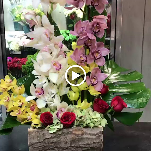 Florist «Elegant Florist», reviews and photos, 6909 4th Ave, Brooklyn, NY 11209, USA