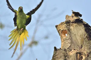 Haringhata Birding Zone image