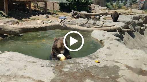 Zoo «Rocky Shores At Hogle Zoo», reviews and photos, 2478 E Ninth S Cir, Salt Lake City, UT 84108, USA