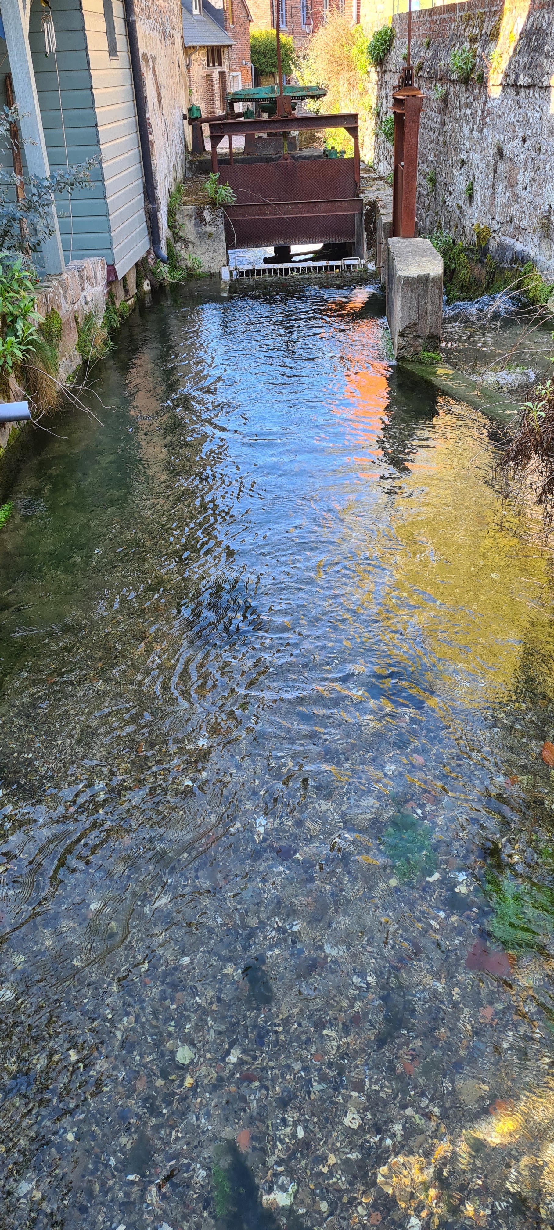 Photo n° 15 de l'avis de Taormina.a fait le 24/03/2022 à 16:22