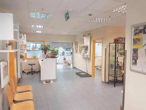Medivet Wiesbaden unter Wiesbaden, 