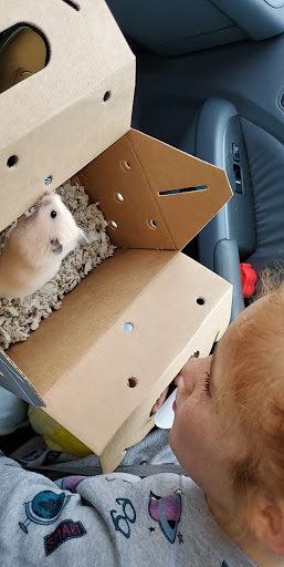 Pet Supply Store «Petco Animal Supplies», reviews and photos, 3055 N President George Bush Hwy, Garland, TX 75040, USA