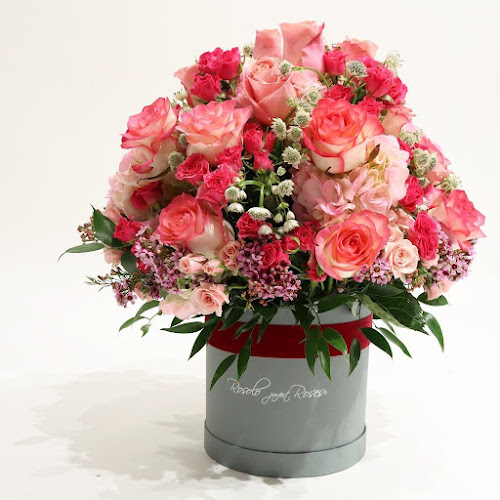 ROSOLO perfect Roses - Blumengeschäft