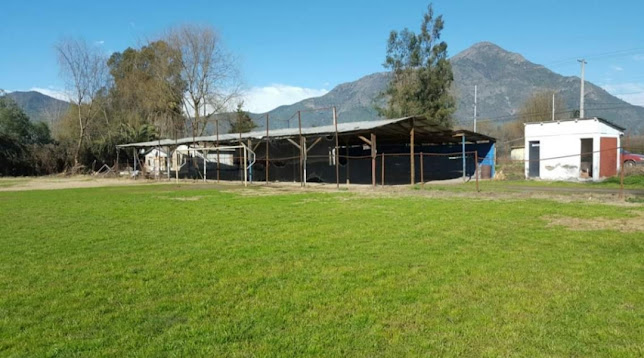 Estadio Club Deportivo Algarrobo - Campo de fútbol
