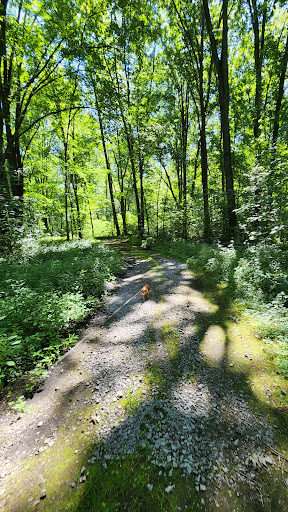 Golf Course «Lyon Oaks Golf Club», reviews and photos, 52251 Pontiac Trail, Wixom, MI 48393, USA