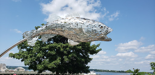 Museum «The Havre de Grace Maritime Museum», reviews and photos, 100 Lafayette St, Havre De Grace, MD 21078, USA